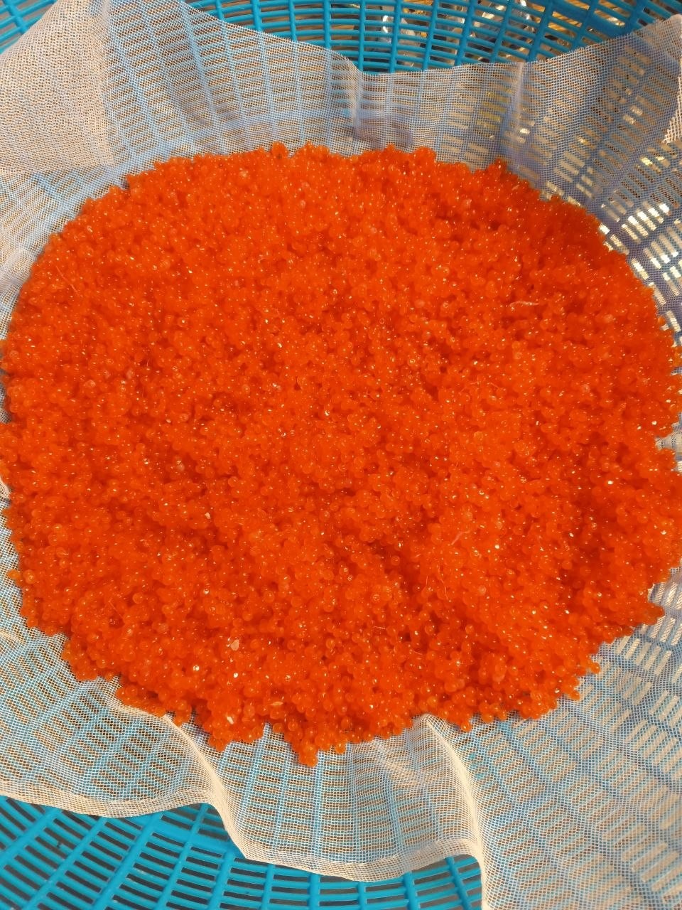 Свежая икра из улова